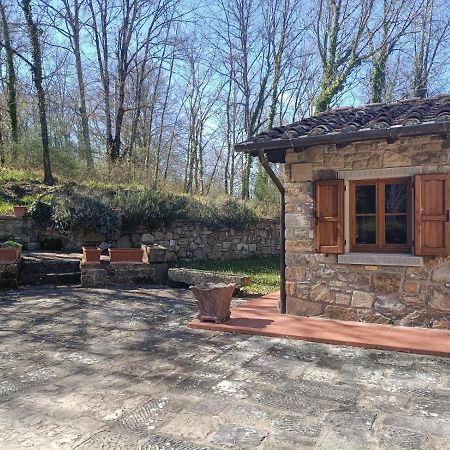 Greenview - Casavacanza Poppi Dış mekan fotoğraf