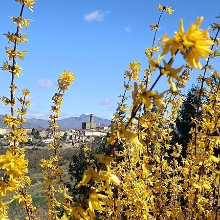 Greenview - Casavacanza Poppi Dış mekan fotoğraf